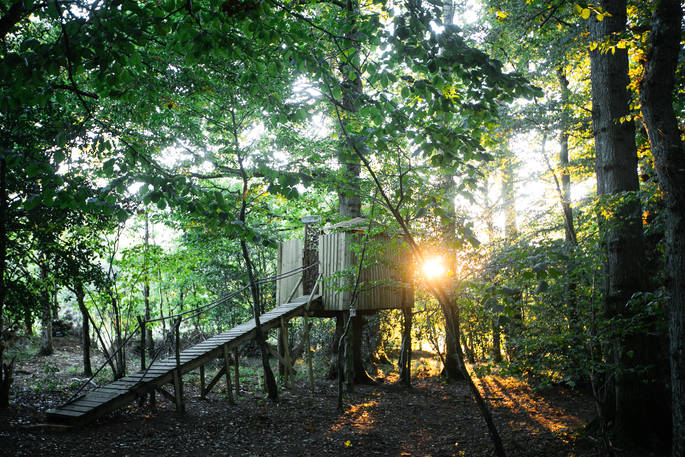 Have a wash at the incredible outdoor shower at Turners Woodland Suite surrounded by trees at Acorn Farm in Devon