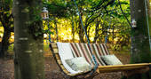 Swinging chair for two attached to the trees at Turners Woodland Suit at Acorn Farm in Devon