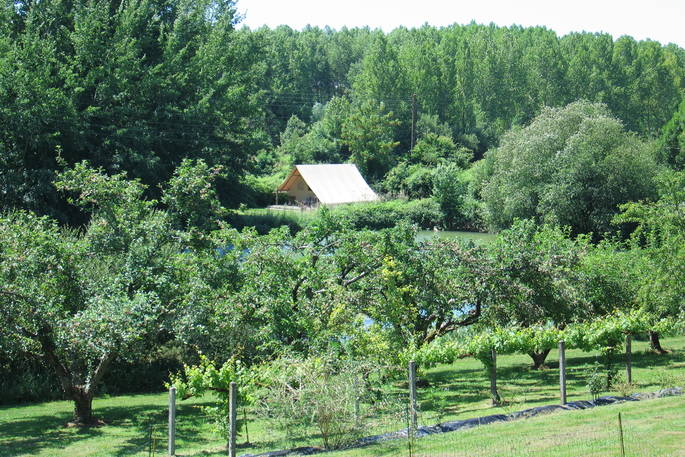 peony lodge tent the good life in france exterior orchard